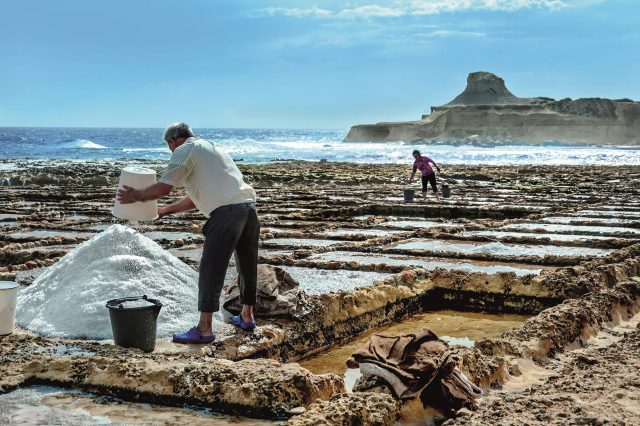 Excursión a las Salinas de Gozo