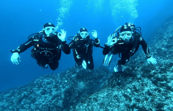 Malta Diving